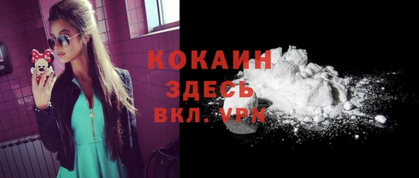 винт Горняк