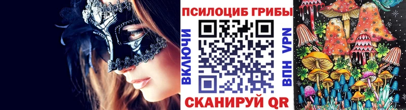 Галлюциногенные грибы Psilocybine cubensis Волгодонск